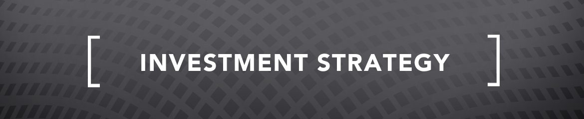 Investment Strategy