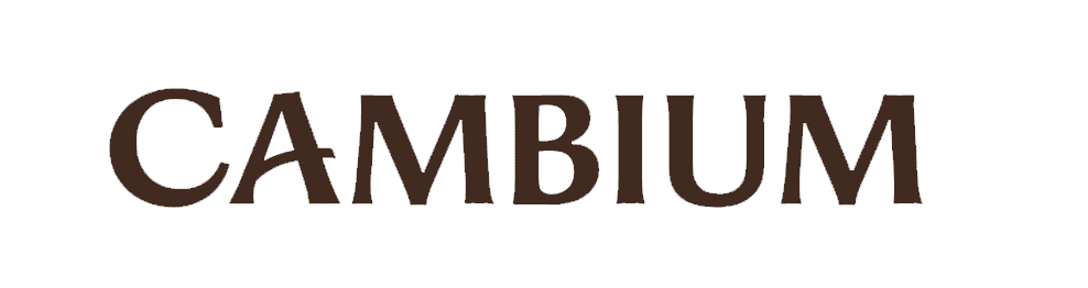 Cambium